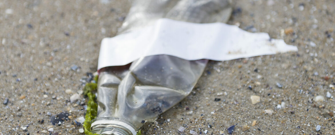 Plastic rubish on St Kilda beach.