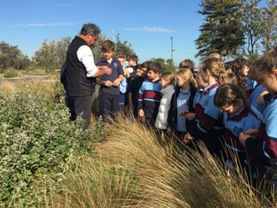 STEAM Clean the Bay learning about Indigenous plants compressed