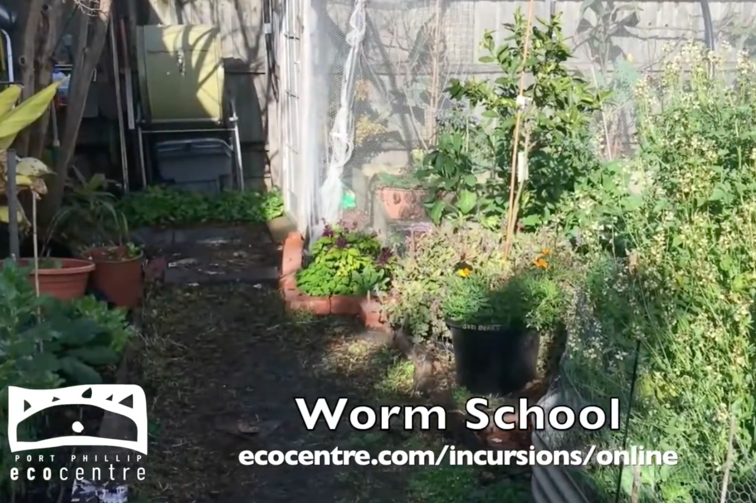 Big - Video Thumbnail Worm School