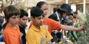 Children examining plants biodiversity