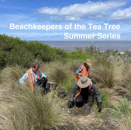 Beachkeepers featured image